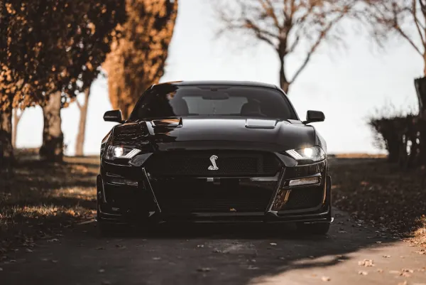 오지 카지노 안드로이드/iOS 앱